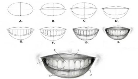 Lips With Teeth Drawing, Lips At Different Angles, Sketch Mouth, Anime Mouth Drawing, How To Draw Lips, Drawing Lips, Teeth Drawing, Draw Lips, Smile Drawing