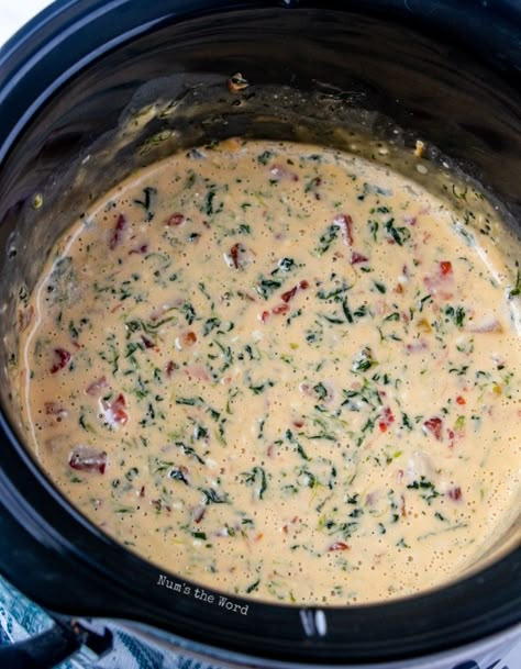 Spinach Bacon Dip, Spinach Queso Dip, Potluck Recipes Crockpot, Bacon Spinach Dip, Appetizer Dips Hot, Recipes With Velveeta Cheese, Cheese Dip Crock Pot, Baked Spinach Dip, Spinach Cheese Dip