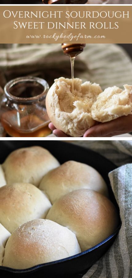 Sourdough Bread In Cast Iron Skillet, Cast Iron Sourdough Bread, Sourdough Dinner Rolls Overnight, Sourdough Skillet Bread, Sourdough Cast Off Recipes, Sourdough Rolls No Yeast, Sourdough Dinner Rolls No Yeast, Overnight Sourdough Rolls, Sourdough Skillet Meal