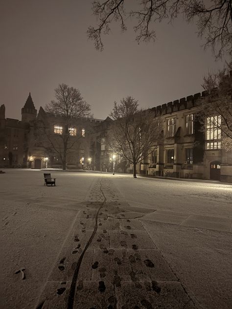 snow on the ground at princeton in mccosh courtyard Privet School Aesthetic, Prestigious School Aesthetic, Princeton Aesthetic, Princeton University Aesthetic, Galaxy Stern, Princeton Library, Princeton Campus, Princeton University Campus, Brooklyn College