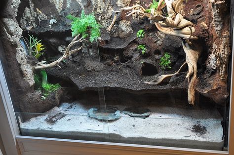 Crab Tank Ideas, Hermit Crab Tank Ideas, Crab Paludarium, 55 Gallon Tank, Hermit Crab Habitat, Crab Tank, Hermit Crab Tank, Snake Enclosure, Frog Tank