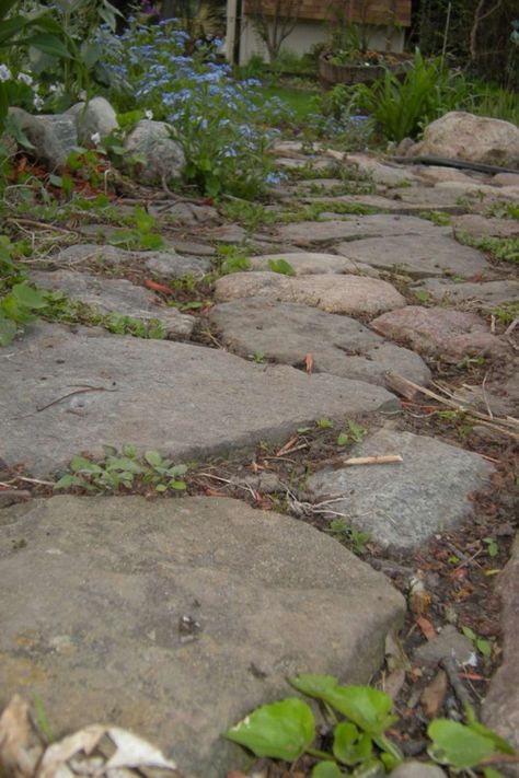 Entrance Pathway, Stepping Stones For Garden, Slate Walkway, Stepping Stone Walkways, Stone Walkways, Stone Pathways, Circular Patio, Wood Walkway, Pathway Ideas