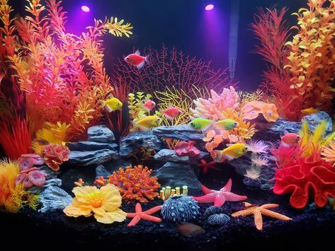 20 Gallon Saltwater Aquarium, Decorative Fish Tank, Colorful Fish Tank Ideas, 25 Gallon Fish Tank Ideas, Glo Fish Tank Ideas, Beautiful Fish Tanks, Glow Fish Tank Ideas, Fish Tank Decorations Themes, Fish Tank Themes Creative