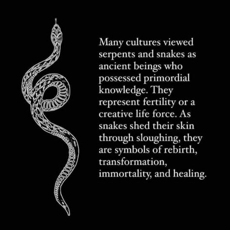 Snakes Spiritual Meaning, Snake Meaning Spiritual, Serpent Meaning, Lilith Snake, Rebirth Aesthetic, Rebirth Spiritual, Lilith Aesthetic, Kundalini Snake, Snake Quotes