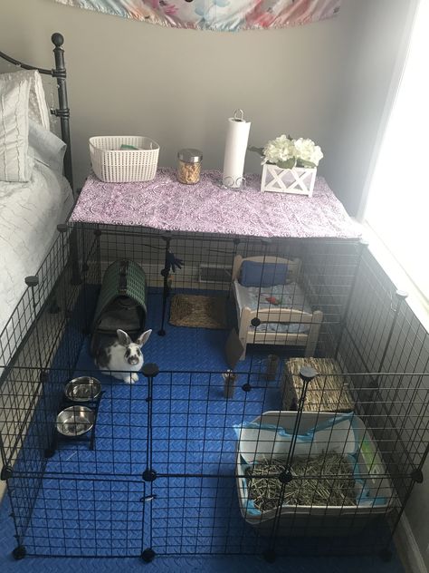 My bunny set-up Rabbit Set Up Indoor Diy, Small Bunny Cages In Bedroom, Bunny Cage Under Bed, Bunny Flooring, Bunny Pen Set Up, Rabbit Area Indoor, Bunny Enrichment Ideas, Diy Rabbit Bed, Diy Bunny Bed