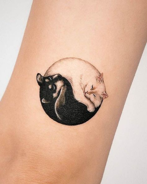 Yin Yang Tattoo Meaning, Back Tattoo Quotes, Cat Yin Yang, Harmony Tattoo, Cat And Dog Tattoo, Yin Yang Tattoo, Kitten Tattoo, French Bulldog Tattoo, Ying Yang Tattoo