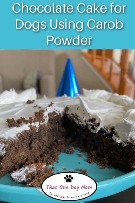 Chocolate cake for dogs recipe using carob powder as a chocolate substiture | dog friendly recipes Carob Dog Cake, Carob Cake Recipe, Carob Cake, Dog Friendly Cake, Cake For Dogs, Cake Receipe, Homemade Pet Treats, Dog Cake Recipes, Doggie Bag