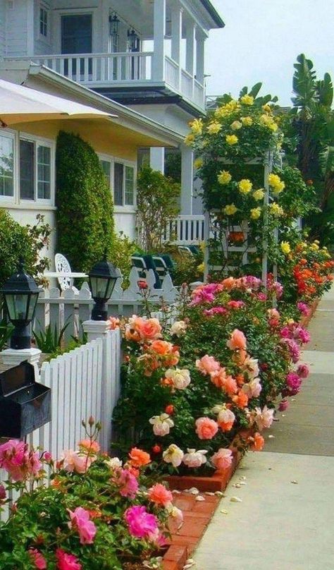 Cottage Garden Landscaping, Front Yard Cottage Garden, Rose Garden Ideas, Garden Landscaping Ideas, Mulch Landscaping, Rose Garden Design, Flower Bed Designs, Front Yard Design, Professional Landscaping