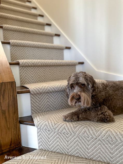 Stair Runner On Dark Wood Stairs, Chevron Stair Runner, Transitional Stair Runner, Staircase Upgrade, Pattern Stair Runner, Modern Stair Runner, Stair Runner Ideas, Stair Runner Installation, Curved Stairs