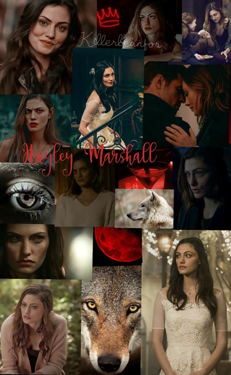 The Originals Hayley, Originals Hayley, Originals Vampire, Mikaelson Family, Hayley The Originals, Klaus From Vampire Diaries, The Mikaelsons, Hayley Marshall, Favorite Wallpaper