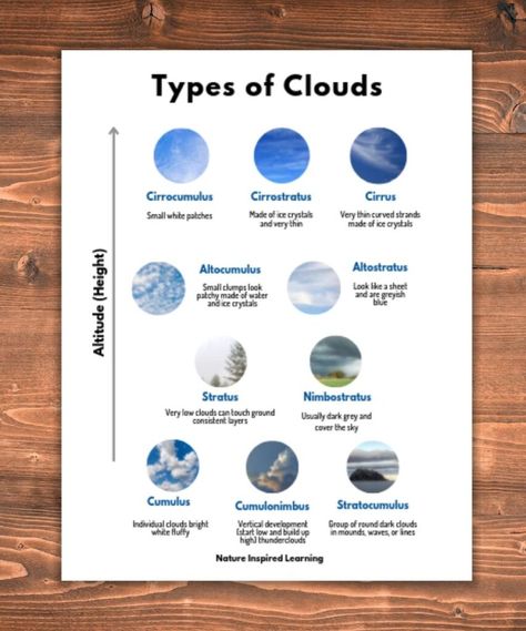 Types of Clouds Graphic on a wooden background cloud images within small circles organized by altitude cirrocumulus, cirrostratus, cirrus highest level, altocumulus and altostratus below then stratus and nimbostratus mid level with cumulus, cumulonimbus, and stratocumulus at the base short description of each cloud type Types Of Clouds For Kids, Free Printable Reading Worksheets, Clouds For Kids, Types Of Clouds, Cloud Names, Cloud Activities, Science Homeschool, Traditional Classroom, Elementary Science Activities