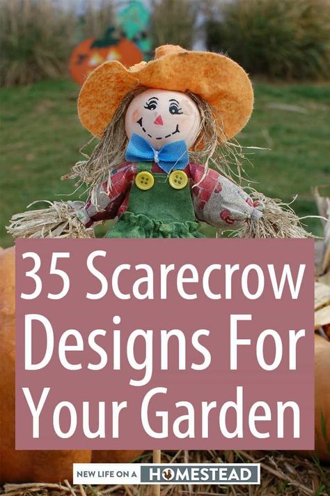 Scarecrows aren't just useful for keeping birds away. They are fun DIY activities that involve the whole family! #DIY #crafts #homesteading Painting Scarecrow Faces, Scarecrows For Garden Ideas, Diy Sitting Scarecrow For Porch, Homemade Scarecrows Diy, Diy Scarecrow For Garden, How To Make A Scarecrow, Kindergarten Scarecrow, Homemade Scarecrows, Easy Diy Scarecrow