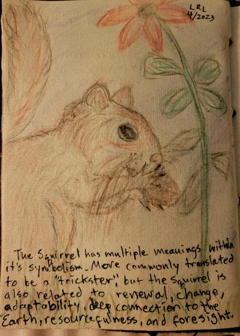 The Spiritual Meaning of the Squirrel, by LRL 4/29/23 Squirrel Spiritual Meaning, Squirrel Meaning, Squirrel Symbolism, Baby Squirrel, Spiritual Meaning, Cheat Sheets, Squirrels, Meant To Be, Spirituality