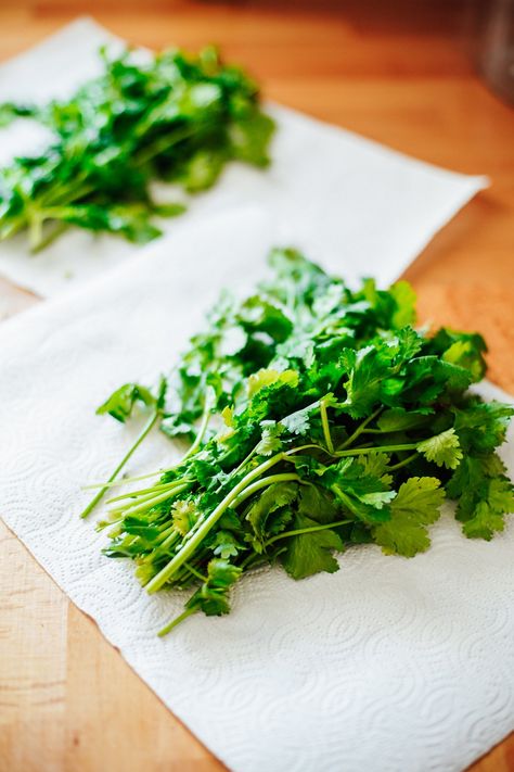 How To Keep Cilantro Fresh In Fridge, Keep Cilantro Fresh Longer, How To Store Fresh Herbs In The Fridge, How To Store Fresh Cilantro, Storing Cilantro In Fridge, How To Keep Cilantro Fresh Longer, How To Store Cilantro In Fridge, How To Keep Cilantro Fresh, How To Store Cilantro