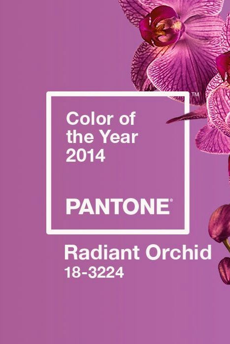 Radiant Orchid Pantone, Orchid Pink Color, Texture Photography, Radiant Orchid, Pink Friday, True Red, Tiger Lily, Color Of The Year, Pantone Color