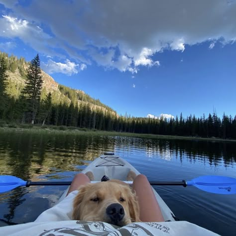 Dog Outside Aesthetic, Camping With Dog Aesthetic, Lake Dog Aesthetic, Dog Camping Aesthetic, Dog In Kayak, Travel Dog Aesthetic, Things To Do With Your Dog Summer, Hiking With Golden Retriever, Dog Life Aesthetic