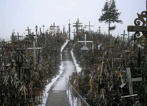 The Hill of Crosses, Northern Lithuania Hill Of Crosses, Creepy Images, Southern Gothic, Gothic Aesthetic, History Channel, 판타지 아트, The Hill, Graveyard, Abandoned Places