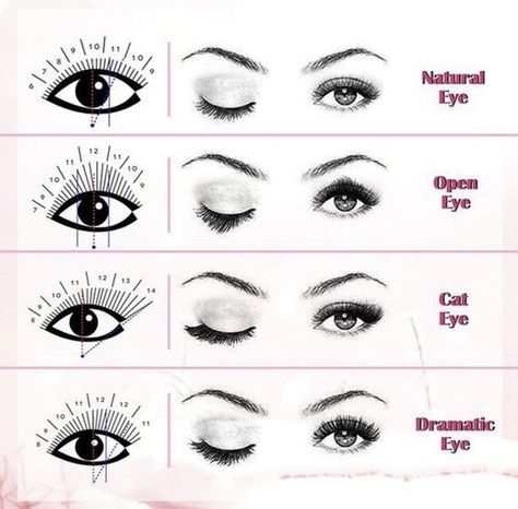 Www Logo, Eye Shape Chart, Lash Extentions, Lashes Fake Eyelashes, Eyelash Tips, Eyelash Technician, Eyelash Logo, Eyelash Extensions Styles, Perfect Eyelashes