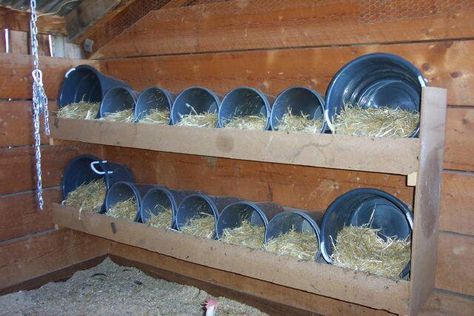 nesting boxes | Please Share Ideas/Pics; Nesting Boxes inside Shed Laying Boxes, Chicken Laying Boxes, Walk In Chicken Run, Chicken Roost, Chicken Barn, Chicken Pen, Chicken Nesting Boxes, Chicken Run, Chicken Coop Designs