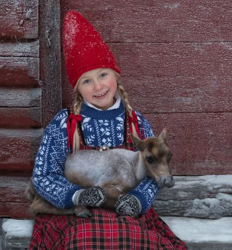 Skiing Norway, Winter In Sweden, Reindeer Farm, Book Christmas Gift, Norwegian Christmas, Baby Reindeer, Unique Christmas Cards, Swedish Christmas, Christmas Tree Wreath