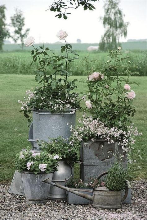 Shed Inspiration, Indoor Gardening Supplies, Funny Vine, Country Garden Decor, French Country Garden, Container Gardening Flowers, Garden Wallpaper, Olive Garden, Back Gardens