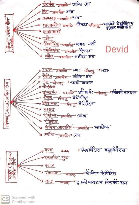 Gk Knowledge In Hindi, Gk Video, Gk Question In Hindi, Upsc Notes, Human Body Facts, Biology Facts, Science Quotes, Gk In Hindi, Gk Questions And Answers