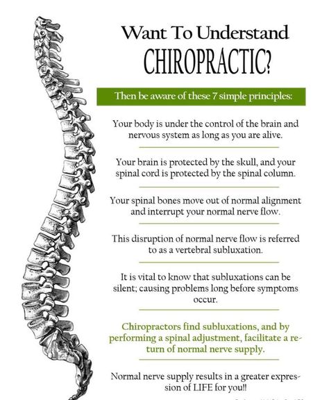 Chiropractic Assistant Training, Chiropractic Social Media, Chiropractic Social Media Posts, Chiropractor Humor, Chiropractic Assistant, Chiropractic Humor, Chiropractic Therapy, Benefits Of Chiropractic Care, Chiropractic Office Design