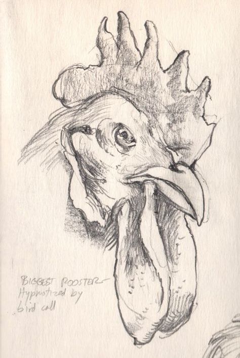 Rooster Sketch Drawings, Chicken Pencil Drawing, Holstein Cow Drawing, Drawing A Rooster, Farm Animal Drawings Sketches, Rooster Pencil Drawing, Chicken Sketches, Animals To Sketch, Rooster Sketch