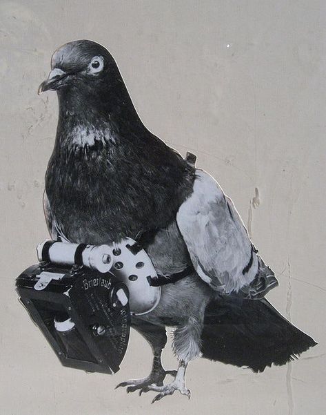 Dr Julius Neubronner's Miniature Pigeon Camera – The Public Domain Review Tristan Tzara, Fotocamere Vintage, Diy Camera, Spy Camera, Historical Documents, Work With Animals, History Channel, Leather Harness, Media Images