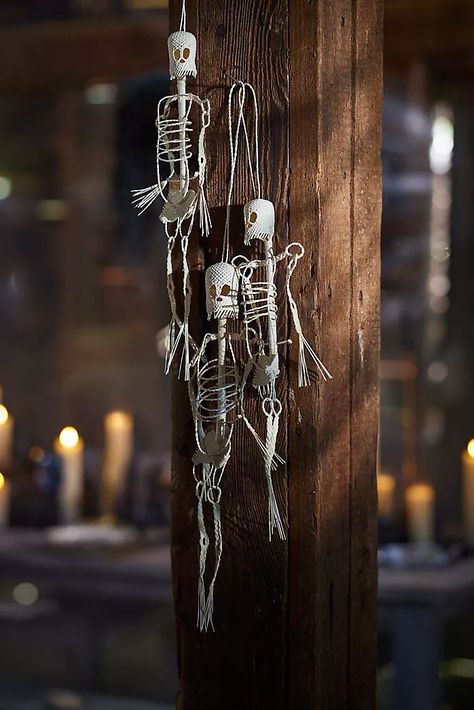 The Halloween Shop | Terrain Hanging Skeleton, Outside Halloween Decorations, Halloween Advent Calendar, Halloween Trends, Bouquet Preservation, Flickering Lights, Night Flowers, Glass Cloche, Fall Halloween Decor