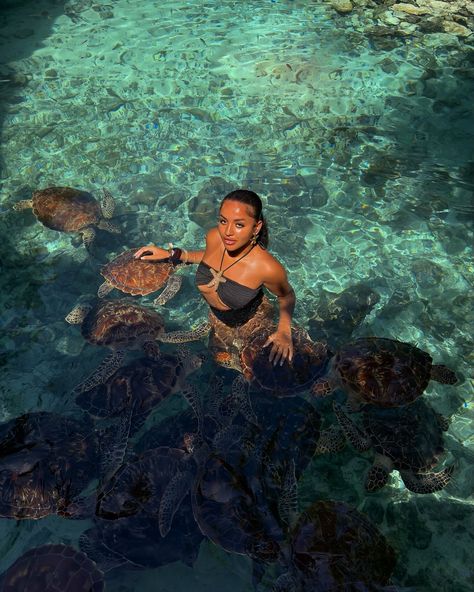 swimming with turtles Tropical Vacation Black Women, Black Women Instagram Picture Ideas, Aesthetic Holiday Pictures, Zanzibar Aesthetic, Vacation Content, Swimming With Turtles, Swim With Turtles, Vacation Poses, Swimming Pictures