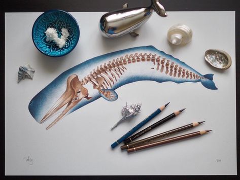 Sperm Whale Skeleton Illustration also among 2018’s work. That’s one of my favourites. Happy Weekend Friends 💙🐳 • • • #colourpencilsonly #wip #spermwhale #whale #skeleton #whaleskeleton #kdekany #art #marinewildlife #marineart #blogger #illustration #pencilillustration #kdekany #fabercastell #polychromos #whalelove #photographer #artblogger #winsornewton #artist #art #artistoninstagram #instaart #instaphoto #instaartist #artshelp Whale Skeleton Drawing, Blogger Illustration, Whale Diy, Whale Skeleton, Fabercastell Polychromos, Sea Stuff, Skeleton Drawings, Skeleton Illustration, Skeleton Tattoos