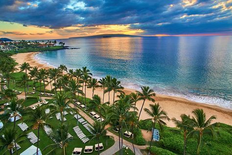 5 Premium Hawaii Hotel Options that are Worth the Upgrade | Hawaii Magazine Maui Snorkeling, Wailea Maui, Maui Hotels, Wailea Beach, Maui Resorts, Kaanapali Beach, Maui Beach, West Maui, Travel Agencies