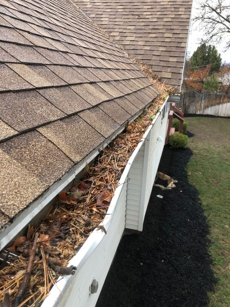 While cleaning, check if your gutters are sagging or pulling away from the roof. Address any sagging to avoid costly repairs! 🏡 #SaggingGutters #PreventDamage Gutter Cleaning, Cleaning Gutters, Window Cleaning, Home Repairs, Water Damage, Window Cleaner, The Roof, Cleaning Service, Roof