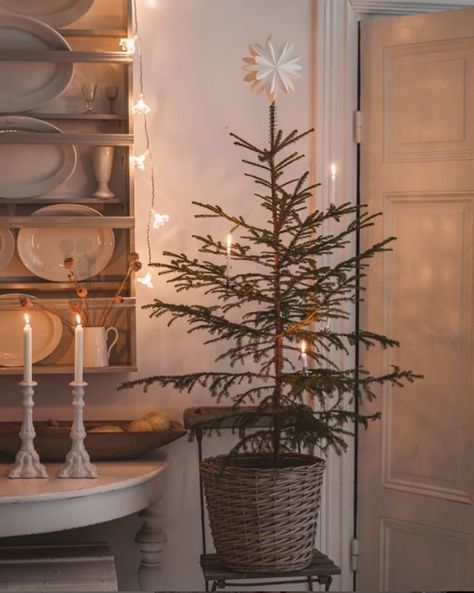 my scandinavian home: 10 Scandi Christmas Decoration Ideas from Mari's Home Nontraditional Christmas Tree, Scandi Christmas Decorations, Scandinavian Christmas Decorations, Pretty Trees, Scandi Christmas, Swedish Christmas, Nordic Christmas, Scandinavian Decor, Winter Home Decor