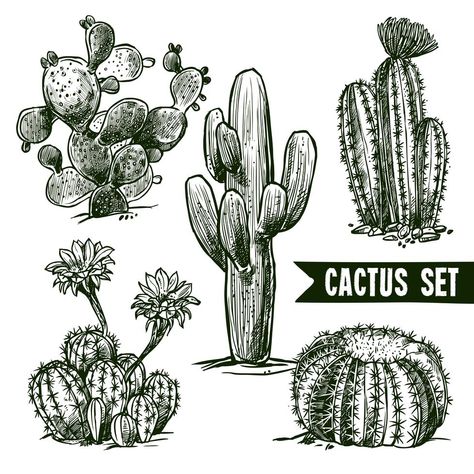 Cactus Sketch, Cactus Tattoo, Cactus Drawing, Cactus Illustration, Cactus Art, West Elm, Ink Art, Different Shapes, Linocut