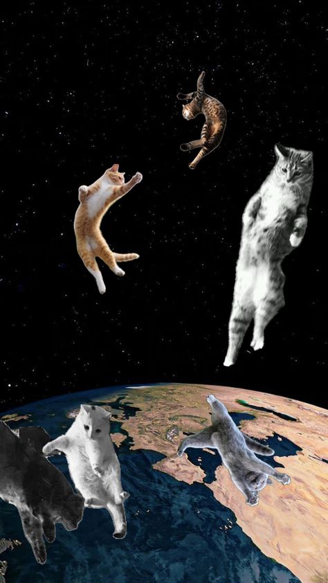 #catsinspace #space #surrealism #surrealistart #art #collage #nature Cat Collage Wallpaper, Space Surrealism, Collage Nature, Cat Space, Cat Collage, Space Wallpaper, Collage Wallpaper, Cute Themes, Wallpaper Space