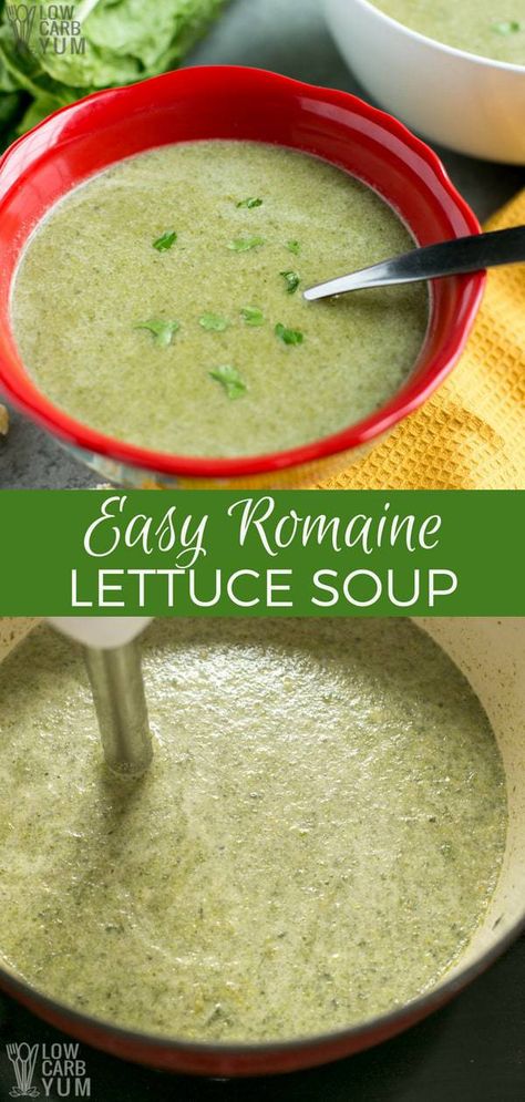 Lettuce Soup Recipes, Romaine Recipes, Romaine Lettuce Recipe, Soup Onion, Lettuce Soup, Romain Lettuce, Lettuce Recipes, Keto Soups, Best Low Carb Recipes