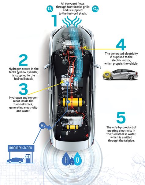 This diagram shows the main components of the Toyota Mirai fuel-cell car. Car Infographic, Hydrogen Powered Cars, Hho Generator, Hydrogen Car, Alternative Fuel, Hydrogen Fuel Cell, Hydrogen Fuel, Automobile Engineering, Automotive Mechanic