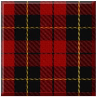 Wallace Tartan, Tartan Wedding, Rob Roy, William Wallace, Dancer Wear, Scotland Wedding, Formal Evening Wear, Tartan Dress, French Words