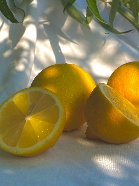 #fruit #lemon #photography #aesthetic #cute #summer #food Summer Baking, Fruit Photography, Art Hobbies, Cute Photography, Cottagecore Aesthetic, Contemporary Luxury, Unique Prints, Yellow Aesthetic, Summer Fruit