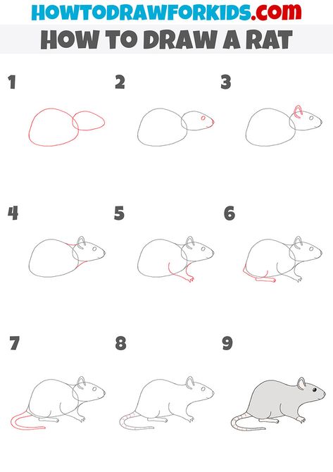 How To Draw Mice Step By Step, Rat Drawing Simple For Kids, How To Draw A Rat Step By Step, How To Draw A Rat Easy, How To Draw A Mouse Step By Step, Rat Drawn Easy, How To Draw Rat, Rat Cartoon Drawing, How To Draw A Rat