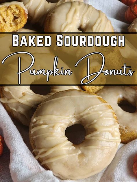 Sourdough Baked Pumpkin Donuts - The Proverbs Kitchen Sourdough Discard Pumpkin Donuts Baked, Fall Baking Sourdough, Discard Donut Recipes, Sourdough Pumpkin Donuts Baked, Pumpkin Sourdough Donut, Sour Dough Pumpkin Cinnamon Rolls, Sourdough Discard Donuts Baked, Sourdough Baked Donut Recipe, Sourdough Halloween Treats