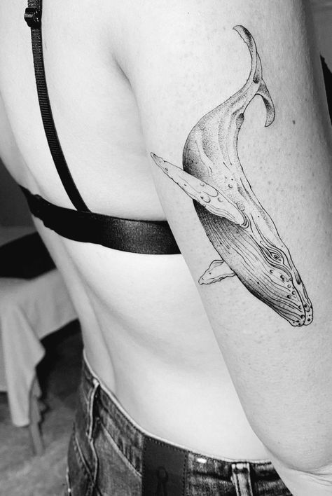 Southern Right Whale Tattoo, Tattoo Art Drawings Design Beautiful, Whale Tattoo Leg, Whale Tattoo Back, Fine Line Whale Tattoo, Simple Whale Tattoo, Wale Tattoos, Small Whale Tattoo, Blue Whale Tattoo