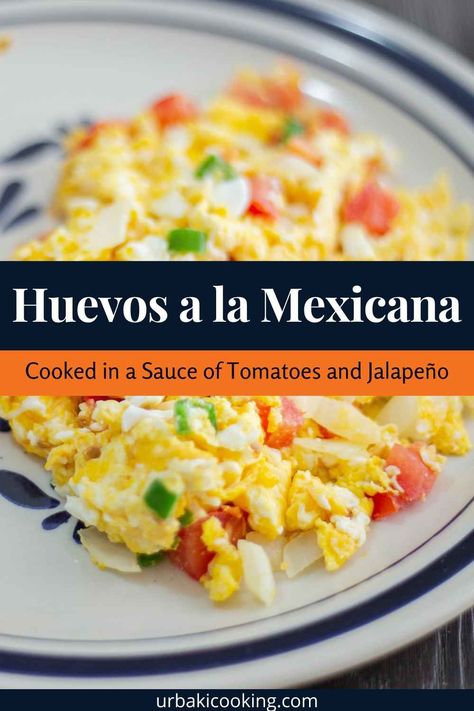 Huevos a la mexicana, or Mexican-style eggs, are eggs cooked and scrambled in a tomato-based sauce. They are very similar to huevos rancheros, but since they are scrambled, they are less messy and easier to make. My mother has been making these "eggs" for our family forever. In fact, our shorthand word for them is simply "eggs." It's one of my favorite ways to make eggs! Ingredients 6 large eggs 2 spring onions, chopped (including the green parts) 1 tomato, peeled and chopped if... Eggs Mexican Style, Mexican Eggs Recipes, Mexican Eggs Huevos Rancheros, Mexican Scrambled Eggs, Eggs And Tomatoes, Creative Egg Recipes, Ways To Make Eggs, Mexican Eggs, Best Egg Recipes