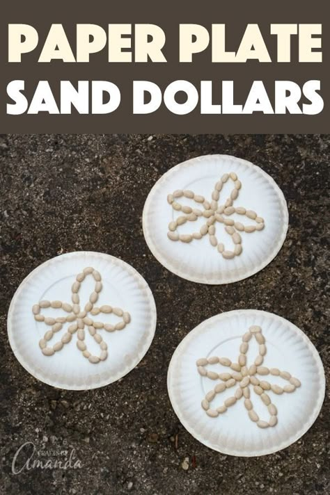 Bring home the beach vibes by making these fun and easy paper plate sand dollars with the kids! They'll love to create their own sand dollar. #beach #beachcrafts #kidscrafts #sanddollar #paperplatecraft Sand Art Activities For Preschool, Beach Activities For School Age, Seashell Preschool Craft, Beach Bash Crafts For Kids, Prek Beach Activities, Beach Activity Preschool, Sand Theme Preschool, Creative Curriculum Sand Study, Beach Crafts For Preschool