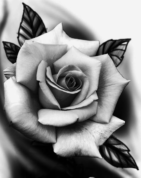 Realistic Drawings Tattoo, Rose Tattoo Design For Men, Mens Rose Tattoo, Rose Tattoo Realistic, Realistic Flower Tattoo, Rose Tattoo Stencil, Realistic Rose Tattoo, Skull Rose Tattoos, Rose Reference