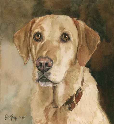 edie fagan - watercolor artist Yellow Lab Painting, Yellow Lab Watercolor, Lab Painting, Labrador Portrait, Labrador Retriever Art, Dog Watercolor Painting, Watercolor Dog Portrait, Painting Yellow, Chicken Painting