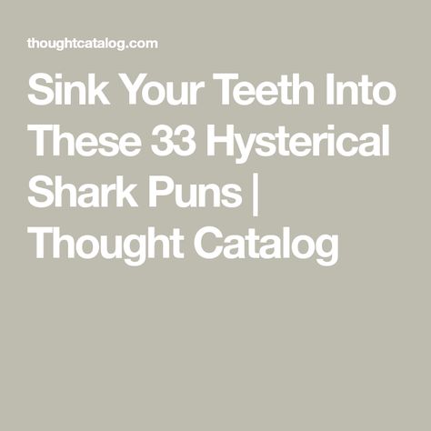 Sink Your Teeth Into These 33 Hysterical Shark Puns | Thought Catalog Shark Puns, Love Greeting Cards, The Nugget, Sign Meaning, Thought Catalog, Shark Week, About Coffee, Sharks, Christmas Santa