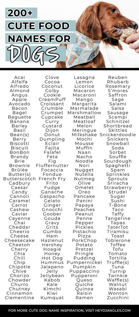 From Cookie and Cheddar to Meatball, Mochi, Pudding, Pancake, Pretzel, and more, check out over 200 cute food names for dogs right here! #dognames #petnames #foodnames Dog Names Food Related, Food Pet Names, Food Names For Pets, Food Names Ideas, Food Dog Names, Chinese Food Names, Food Names For Dogs, Names For Pets, Cute Dog Names